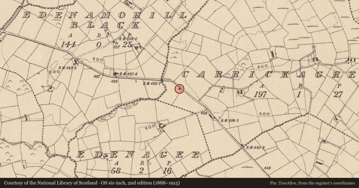 Ordnance Survey six-inch map, 2nd edition (1888–1915) covering the location of The Rock, Fermanagh and Omagh, with a pin at the register's coordinates