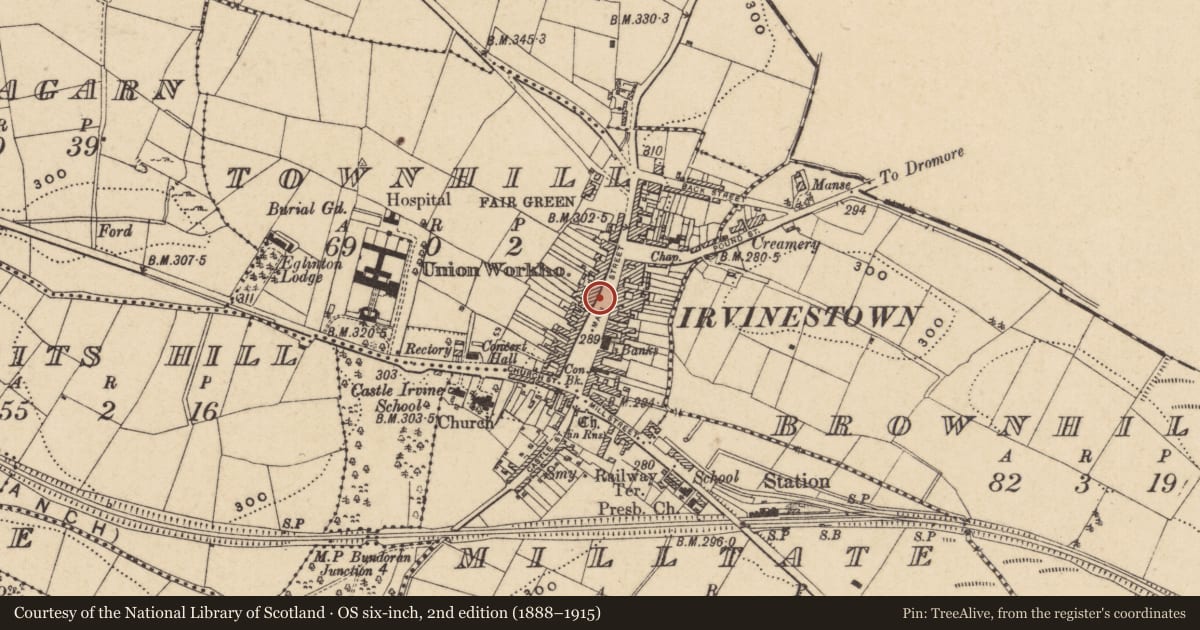 Ordnance Survey six-inch map, 2nd edition (1888–1915) covering the location of The Central Bar, Townhill, Fermanagh, with a pin at the register's coordinates