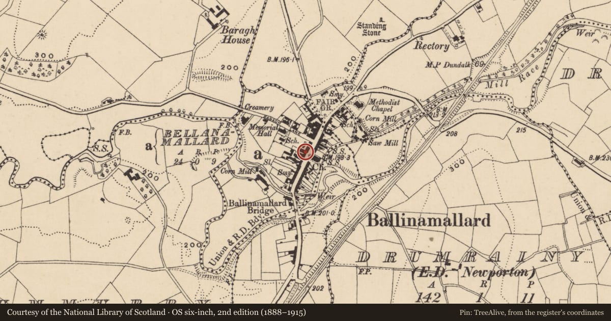 Ordnance Survey six-inch map, 2nd edition (1888–1915) covering the location of Victoria House, Fermanagh and Omagh, with a pin at the register's coordinates