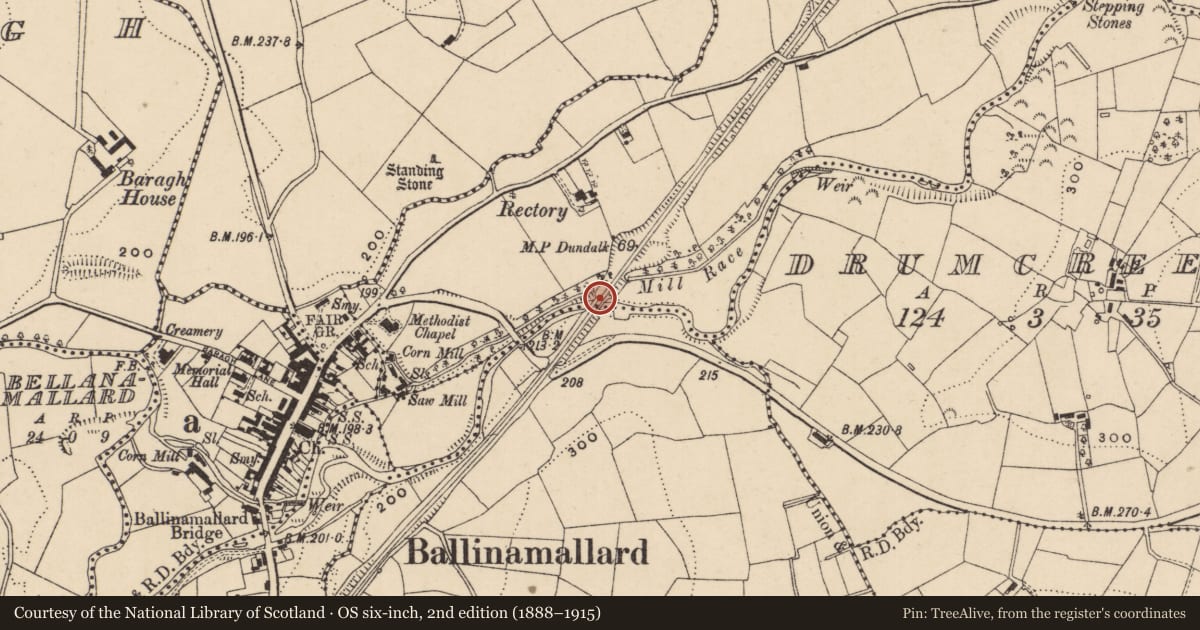 Ordnance Survey six-inch map, 2nd edition (1888–1915) covering the location of Railway Bridge, Fermanagh and Omagh, with a pin at the register's coordinates
