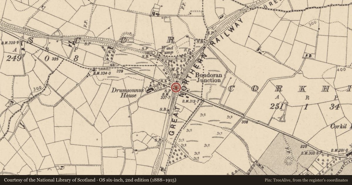 Ordnance Survey six-inch map, 2nd edition (1888–1915) covering the location of Road Bridge And Steps Over Former Railway, Fermanagh and Omagh, with a pin at the register's coordinates