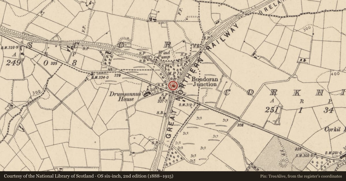 Ordnance Survey six-inch map, 2nd edition (1888–1915) covering the location of Old Station House, Fermanagh and Omagh, with a pin at the register's coordinates