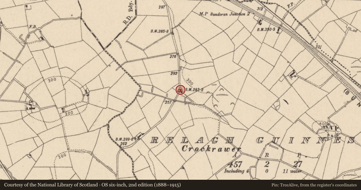 Ordnance Survey six-inch map, 2nd edition (1888–1915) covering the location of 102 Sallon Road, Relagh Guinness, Fermanagh and Omagh, with a pin at the register's coordinates