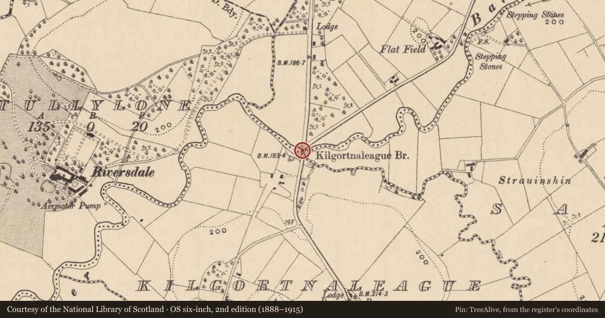 Ordnance Survey six-inch map, 2nd edition (1888–1915) covering the location of Kilgortnaleague Bridge, Fermanagh and Omagh, with a pin at the register's coordinates