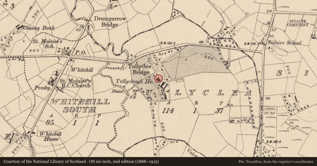 Ordnance Survey six-inch map, 2nd edition (1888–1915) covering the location of Tullycleagh House, Fermanagh and Omagh, with a pin at the register's coordinates
