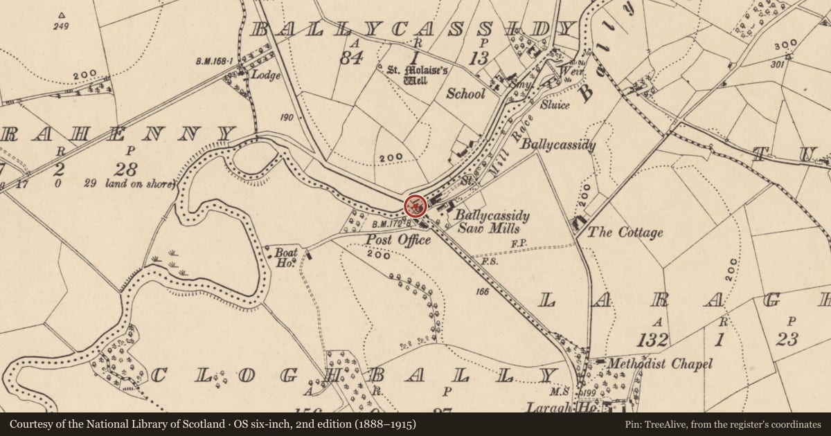 Ordnance Survey six-inch map, 2nd edition (1888–1915) covering the location of Ballycassidy Bridge Ballycassidy T.l. Ballinamallard, Fermanagh and Omagh, with a pin at the register's coordinates