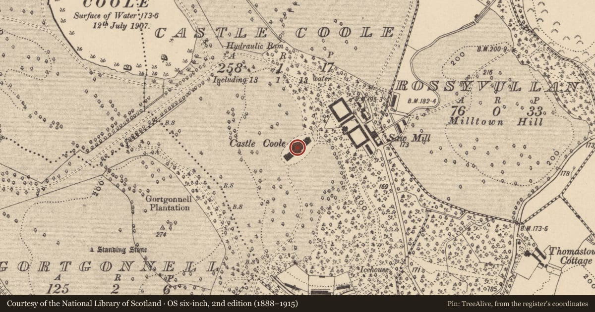Ordnance Survey six-inch map, 2nd edition (1888–1915) covering the location of Castle Coole, Fermanagh and Omagh, with a pin at the register's coordinates