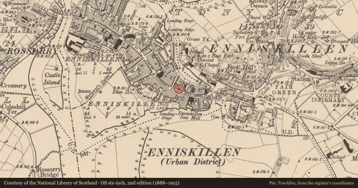 Ordnance Survey six-inch map, 2nd edition (1888–1915) covering the location of Allied Irish Bank, Fermanagh and Omagh, with a pin at the register's coordinates