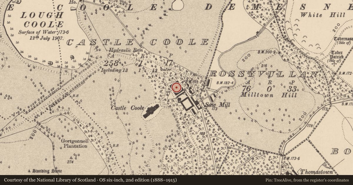 Ordnance Survey six-inch map, 2nd edition (1888–1915) covering the location of Grand Yard (Main Stable Yard), Fermanagh and Omagh, with a pin at the register's coordinates