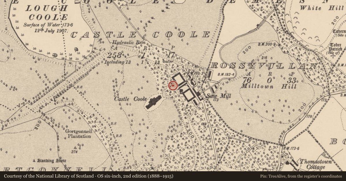 Ordnance Survey six-inch map, 2nd edition (1888–1915) covering the location of Service Tunnel, Fermanagh and Omagh, with a pin at the register's coordinates