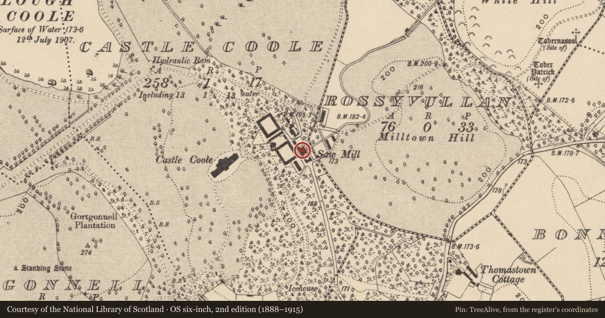 Ordnance Survey six-inch map, 2nd edition (1888–1915) covering the location of Service Yard, Fermanagh and Omagh, with a pin at the register's coordinates