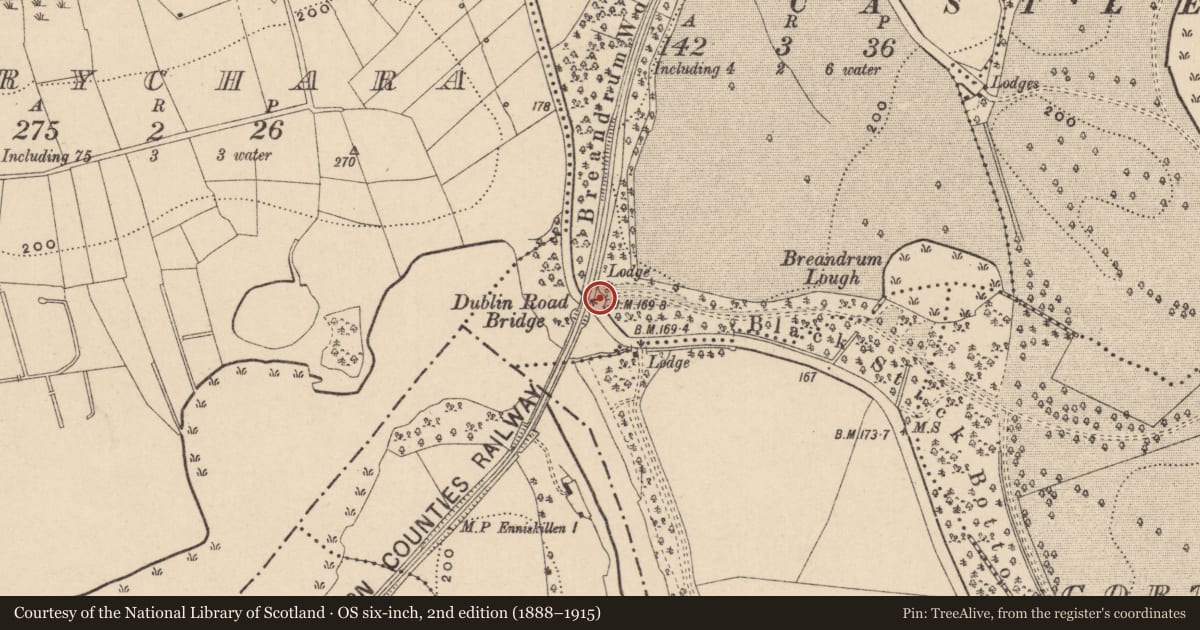 Ordnance Survey six-inch map, 2nd edition (1888–1915) covering the location of West Entrance Gate Screen, Fermanagh and Omagh, with a pin at the register's coordinates