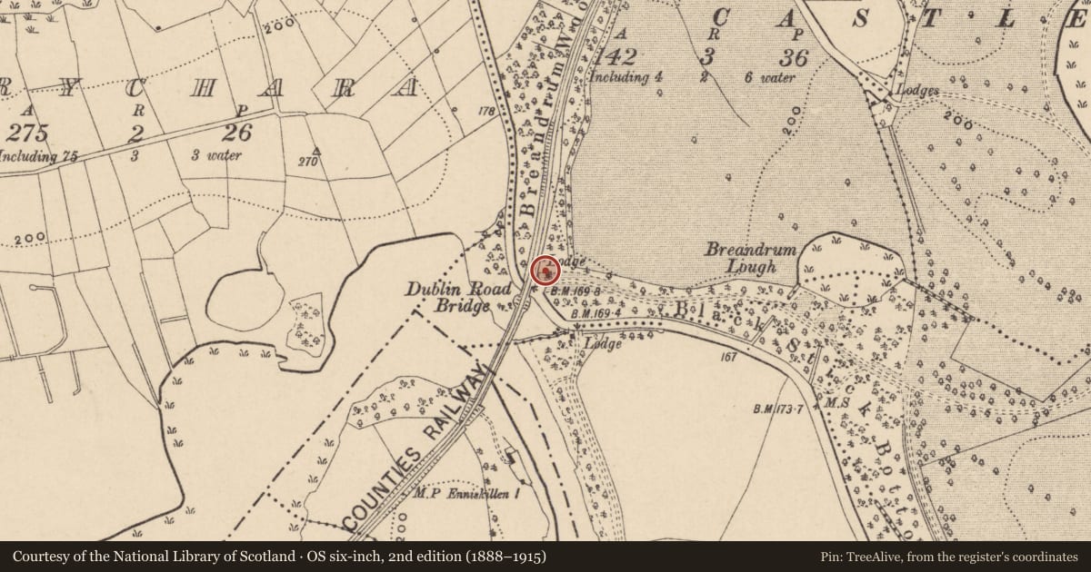 Ordnance Survey six-inch map, 2nd edition (1888–1915) covering the location of West Gate Lodge, Fermanagh and Omagh, with a pin at the register's coordinates
