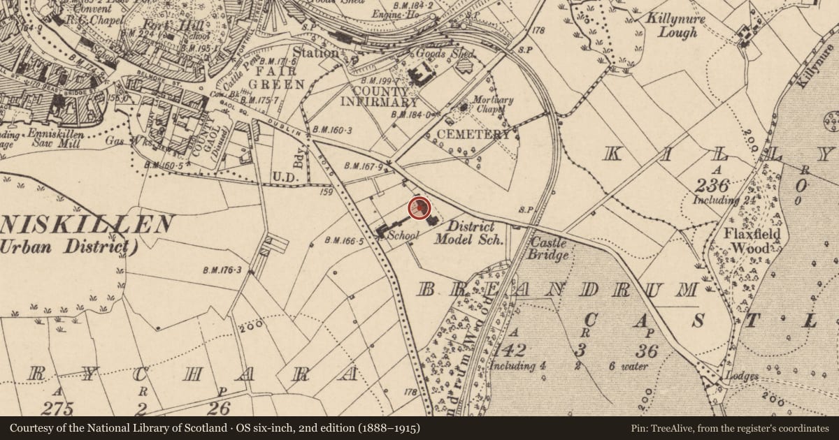 Ordnance Survey six-inch map, 2nd edition (1888–1915) covering the location of The Model Primary School, Breandrum, Fermanagh and Omagh, with a pin at the register's coordinates