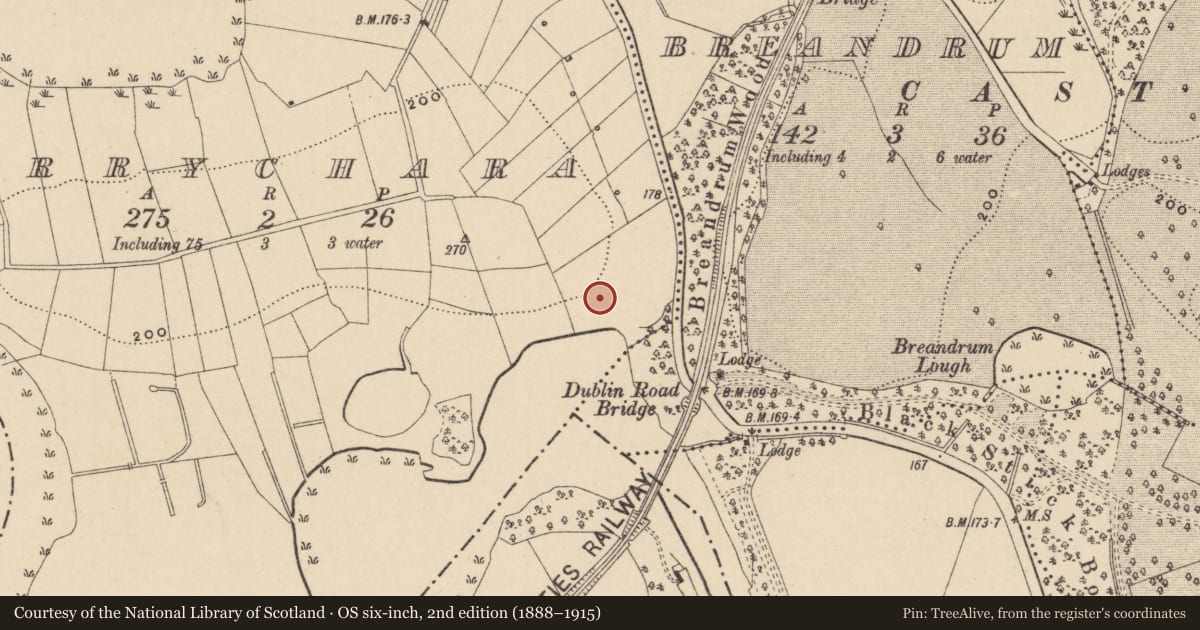 Ordnance Survey six-inch map, 2nd edition (1888–1915) covering the location of Ardhowen Theatre, 97 Dublin Road, Enniskillen Co Fermanagh, BT74 6FZ, Derrychara, Fermanagh and Omagh, with a pin at the register's coordinates