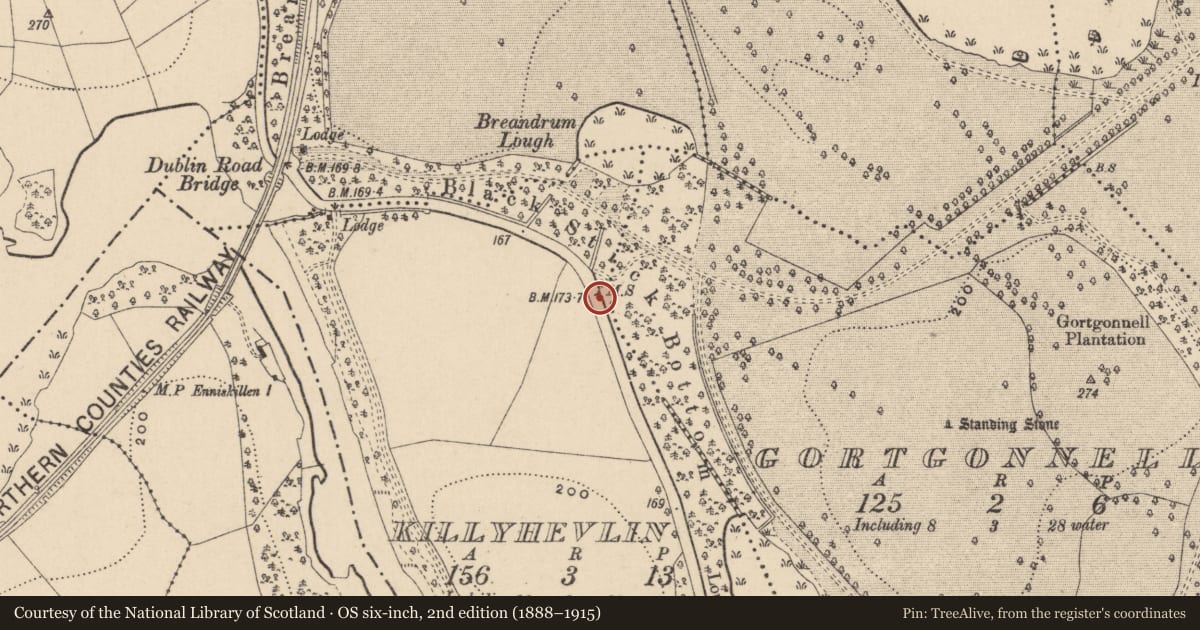 Ordnance Survey six-inch map, 2nd edition (1888–1915) covering the location of Milestone 1 Mile, Killyhevlin, with a pin at the register's coordinates