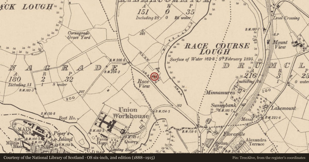 Ordnance Survey six-inch map, 2nd edition (1888–1915) covering the location of Race View, Kilmacormick, Fermanagh and Omagh, with a pin at the register's coordinates