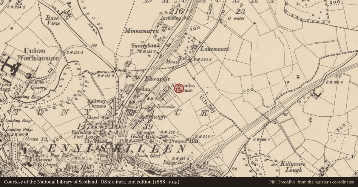 Ordnance Survey six-inch map, 2nd edition (1888–1915) covering the location of Enniskillen Collegiate School, Fermanagh and Omagh, with a pin at the register's coordinates