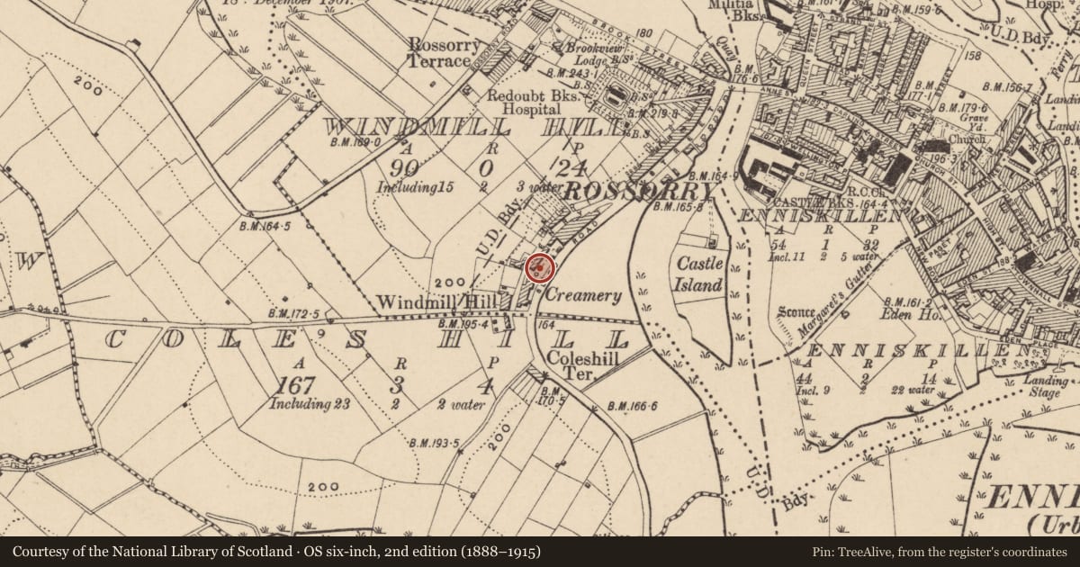 Ordnance Survey six-inch map, 2nd edition (1888–1915) covering the location of Former Scottish Cooperative Wholesale Society factory ('The Scotch Stores'), Enniskillen, Fermanagh and Omagh, with a pin at the register's coordinates