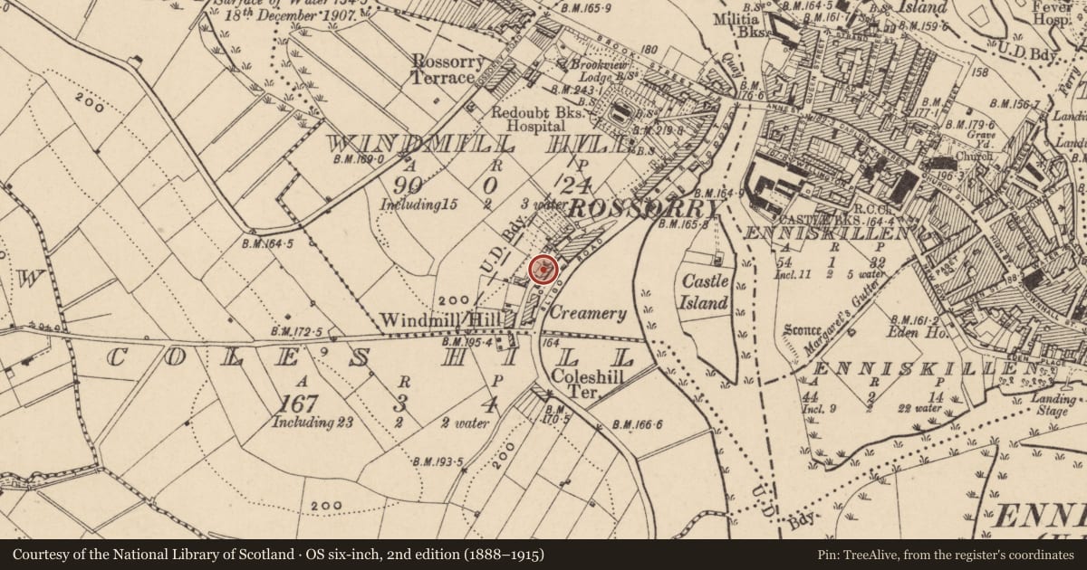 Ordnance Survey six-inch map, 2nd edition (1888–1915) covering the location of Former Scottish Cooperative Wholesale Society factory ('The Scotch Stores'), Enniskillen, Fermanagh and Omagh, with a pin at the register's coordinates