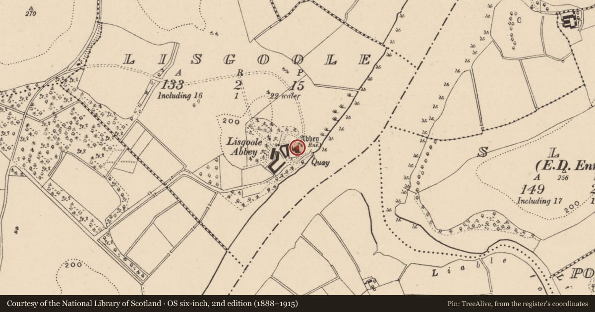 Ordnance Survey six-inch map, 2nd edition (1888–1915) covering the location of Lisgoole Abbey, Fermanagh and Omagh, with a pin at the register's coordinates