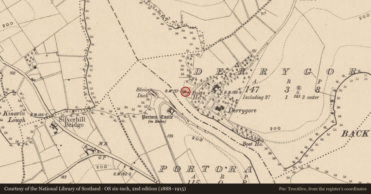 Ordnance Survey six-inch map, 2nd edition (1888–1915) covering the location of Derrygore Harbour, Fermanagh and Omagh, with a pin at the register's coordinates