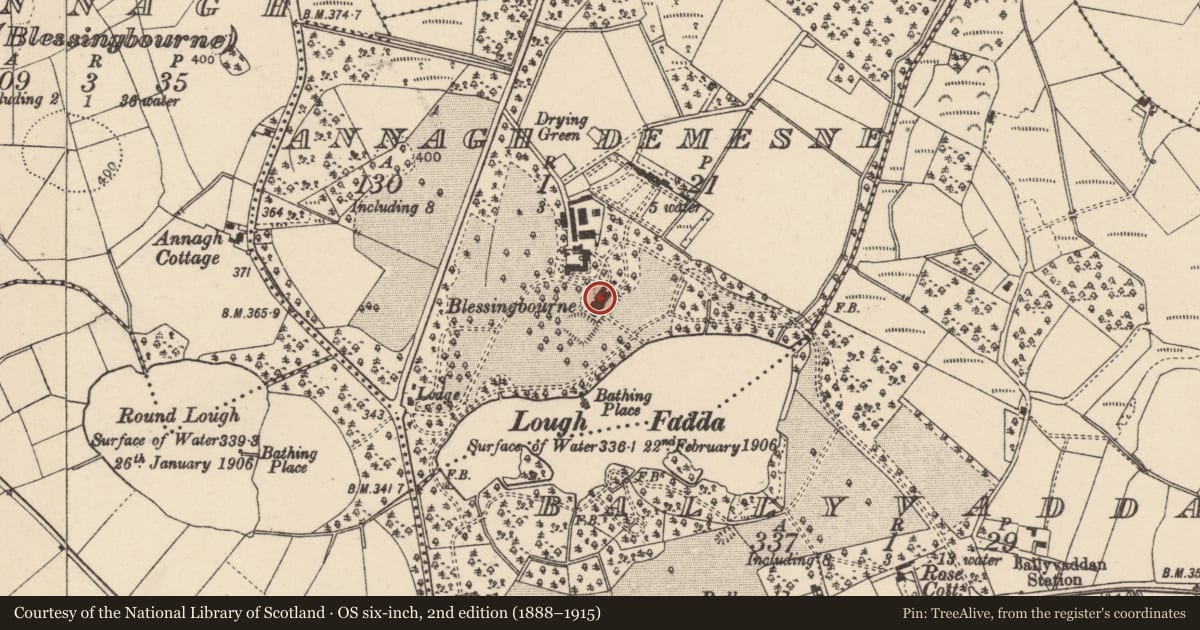 Ordnance Survey six-inch map, 2nd edition (1888–1915) covering the location of BLESSINGBOURNE, Mid Ulster, with a pin at the register's coordinates
