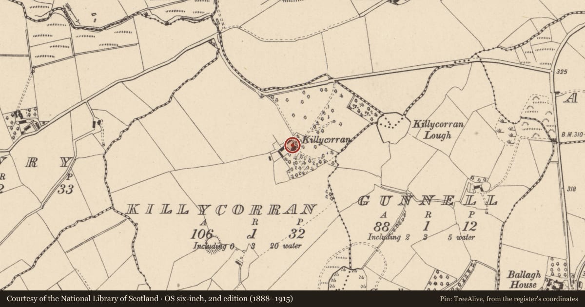Ordnance Survey six-inch map, 2nd edition (1888–1915) covering the location of Killycorran Hall, Mid Ulster, with a pin at the register's coordinates