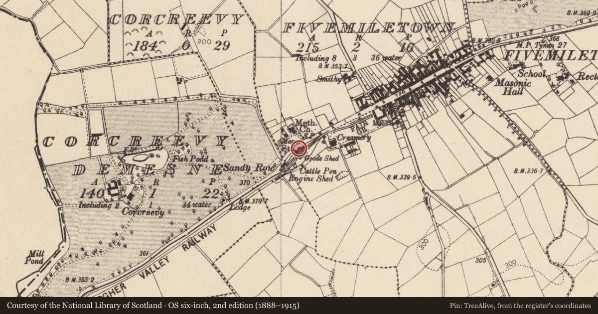 Ordnance Survey six-inch map, 2nd edition (1888–1915) covering the location of The Old Station House, Mid Ulster, with a pin at the register's coordinates
