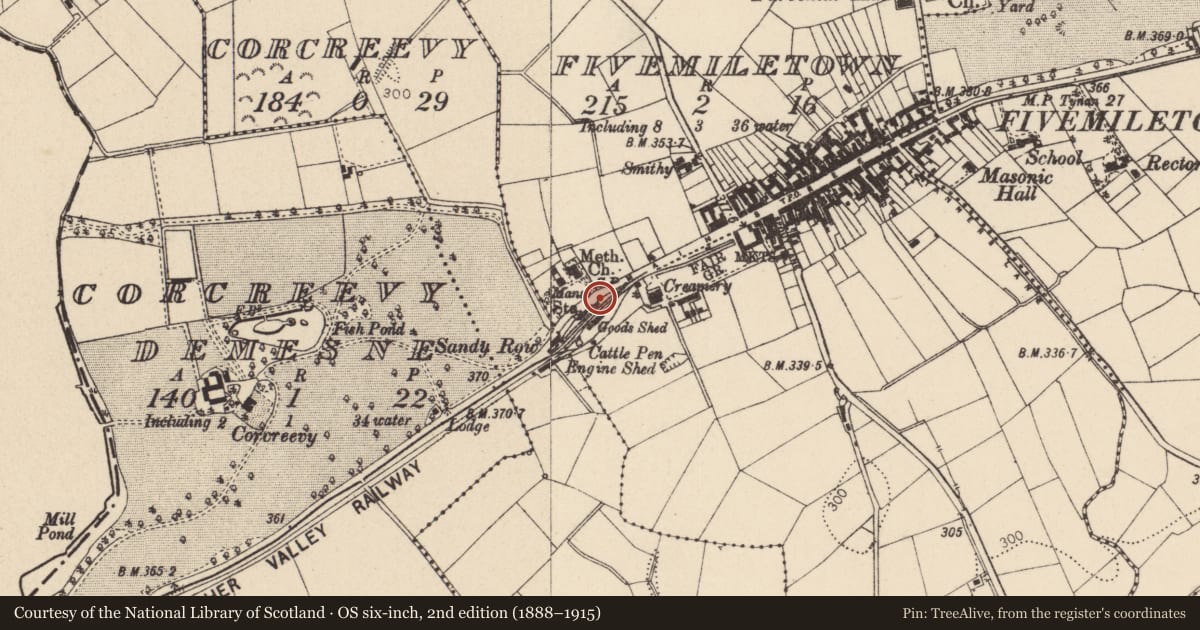 Ordnance Survey six-inch map, 2nd edition (1888–1915) covering the location of Railway Station Structures, Mid Ulster, with a pin at the register's coordinates
