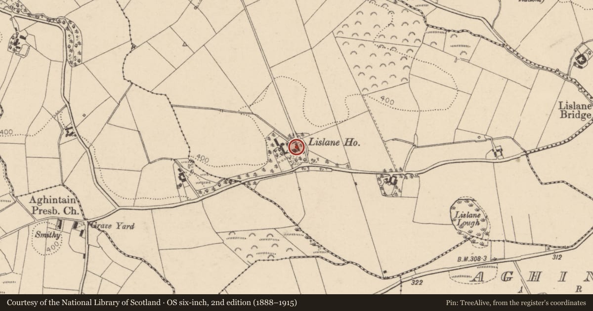 Ordnance Survey six-inch map, 2nd edition (1888–1915) covering the location of Lislane House, Mid Ulster, with a pin at the register's coordinates
