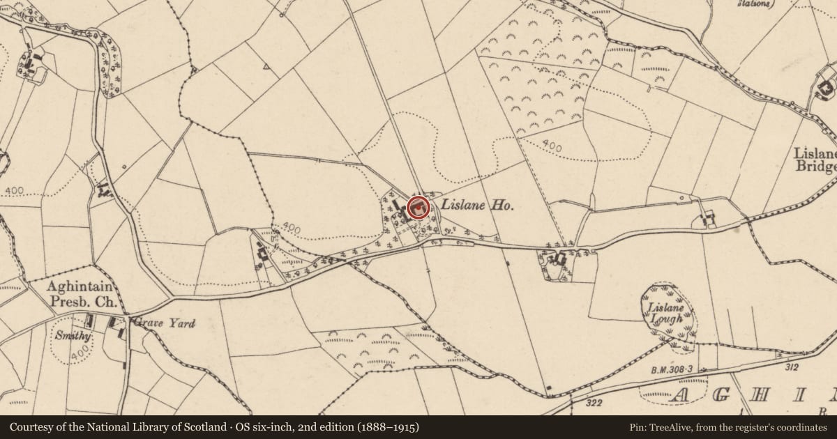 Ordnance Survey six-inch map, 2nd edition (1888–1915) covering the location of Outbuildings Of Lislane House, Mid Ulster, with a pin at the register's coordinates