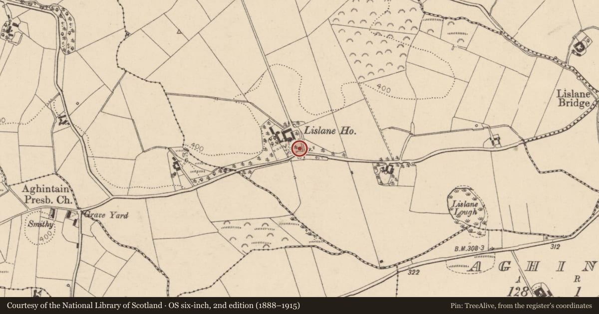 Ordnance Survey six-inch map, 2nd edition (1888–1915) covering the location of Gates Of Lislane House, Mid Ulster, with a pin at the register's coordinates