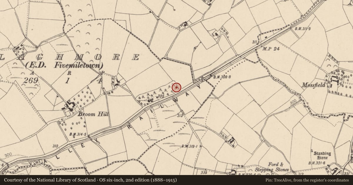 Ordnance Survey six-inch map, 2nd edition (1888–1915) covering the location of 67 Ballagh Road, Mid Ulster, with a pin at the register's coordinates
