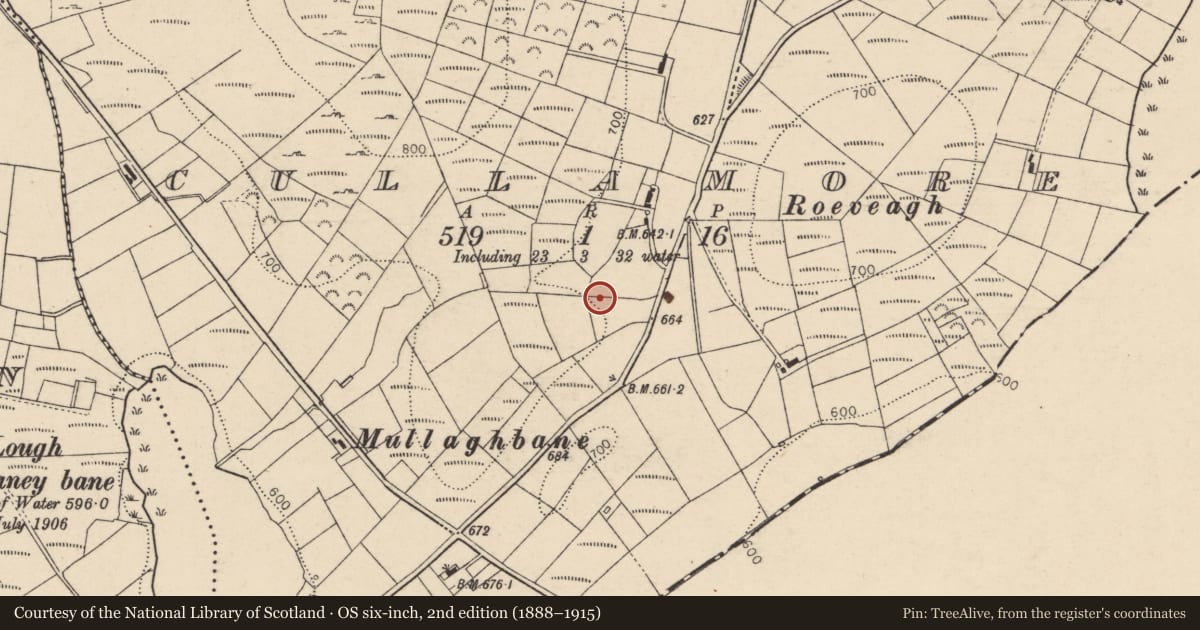 Ordnance Survey six-inch map, 2nd edition (1888–1915) covering the location of Market Yard, Mid Ulster, with a pin at the register's coordinates