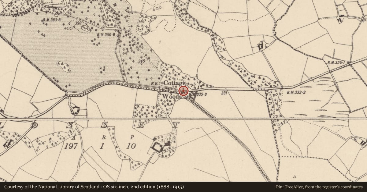 Ordnance Survey six-inch map, 2nd edition (1888–1915) covering the location of Bridge Cottage Woods Ballyness/LOSSET, Mid Ulster, with a pin at the register's coordinates