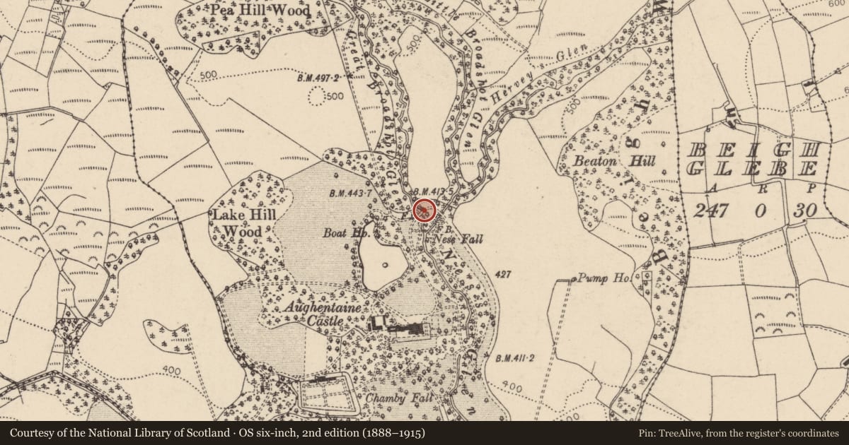 Ordnance Survey six-inch map, 2nd edition (1888–1915) covering the location of BRIDGE 2, Mid Ulster, with a pin at the register's coordinates