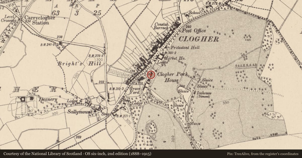 Ordnance Survey six-inch map, 2nd edition (1888–1915) covering the location of St. Macartan'S Home, Mid Ulster, with a pin at the register's coordinates