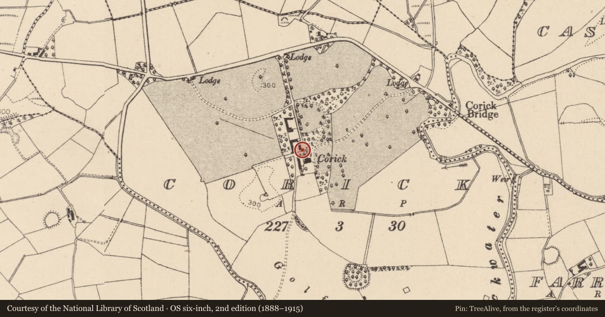 Ordnance Survey six-inch map, 2nd edition (1888–1915) covering the location of CORICK, Mid Ulster, with a pin at the register's coordinates