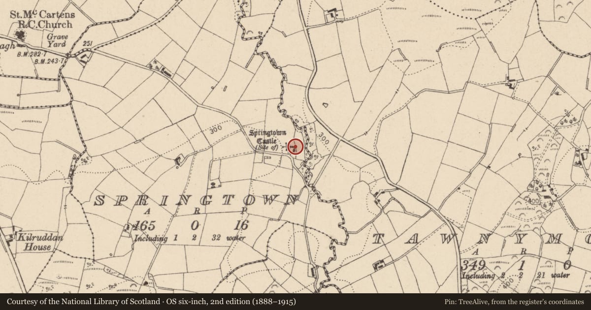 Ordnance Survey six-inch map, 2nd edition (1888–1915) covering the location of Carleton’s Cottage, Springtown, Mid Ulster, with a pin at the register's coordinates