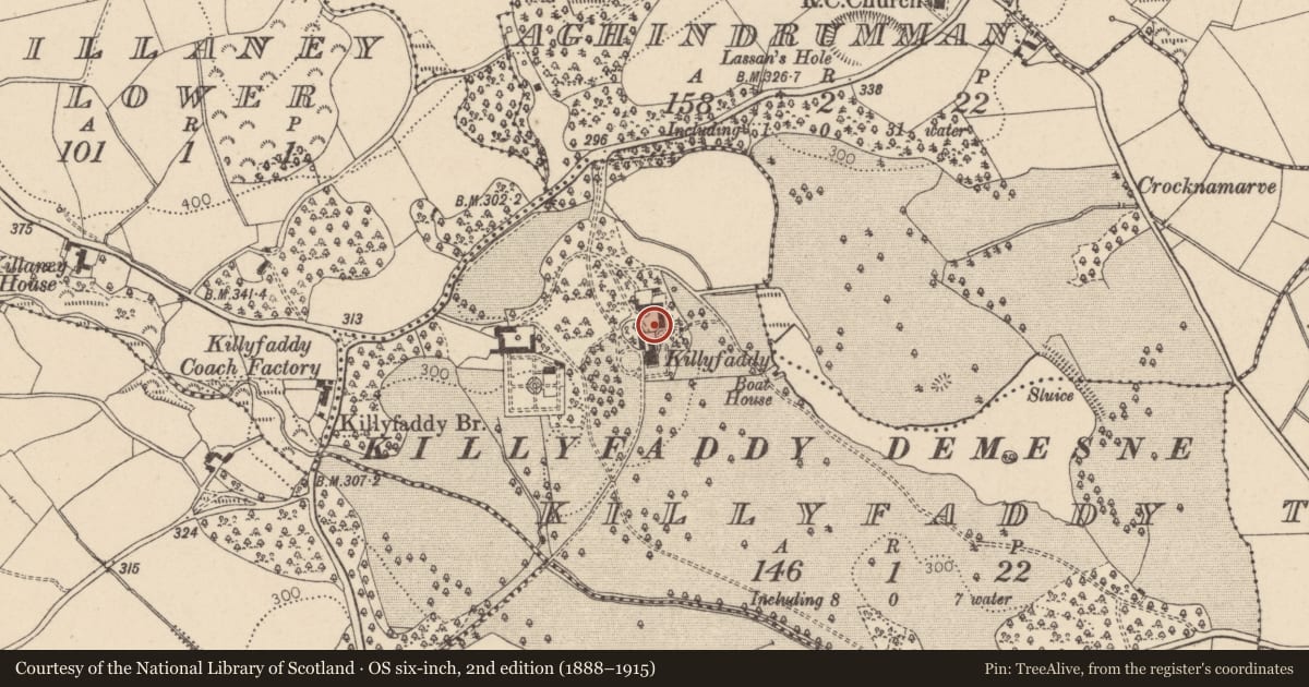 Ordnance Survey six-inch map, 2nd edition (1888–1915) covering the location of Killyfaddy Manor, Mid Ulster, with a pin at the register's coordinates