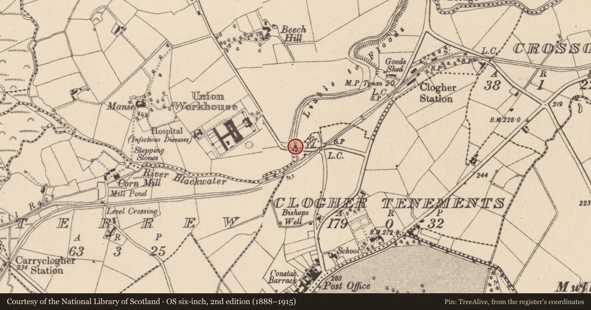 Ordnance Survey six-inch map, 2nd edition (1888–1915) covering the location of BRIDGE, Mid Ulster, with a pin at the register's coordinates