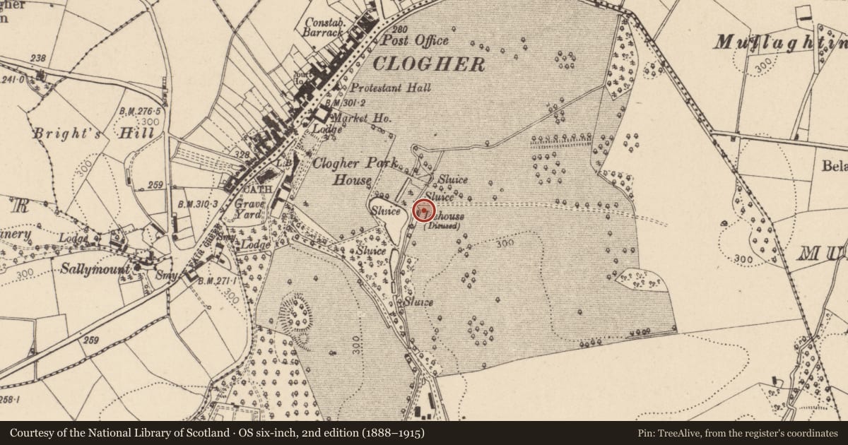 Ordnance Survey six-inch map, 2nd edition (1888–1915) covering the location of Ice House, Mid Ulster, with a pin at the register's coordinates