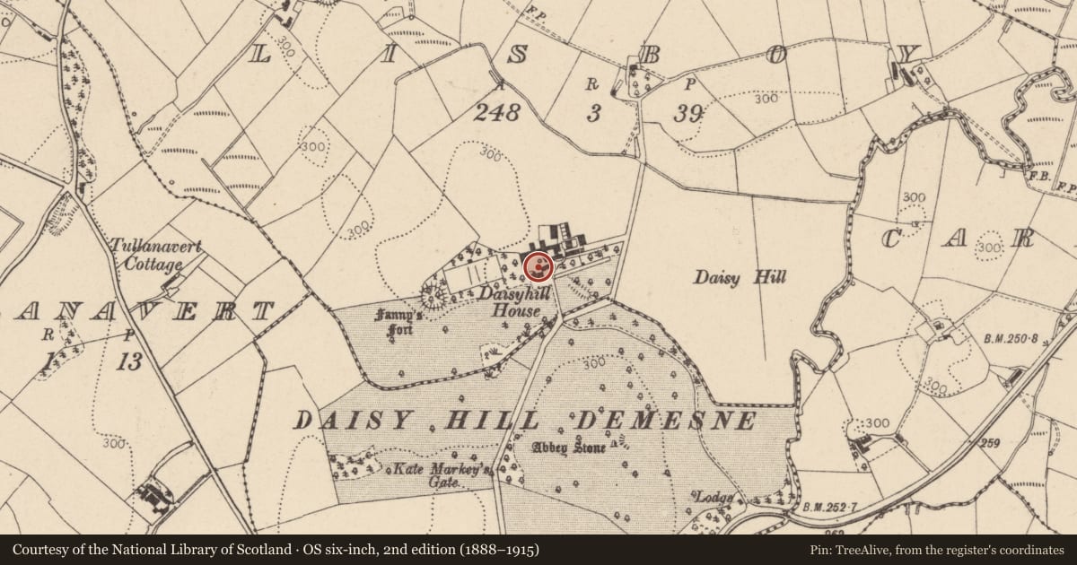 Ordnance Survey six-inch map, 2nd edition (1888–1915) covering the location of Daisyhill House, Mid Ulster, with a pin at the register's coordinates