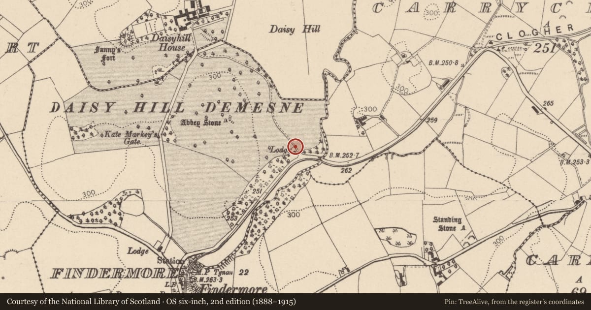 Ordnance Survey six-inch map, 2nd edition (1888–1915) covering the location of Gates/Screens/Lodges, Mid Ulster, with a pin at the register's coordinates