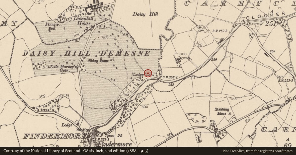 Ordnance Survey six-inch map, 2nd edition (1888–1915) covering the location of Gates/Screens/Lodges, Mid Ulster, with a pin at the register's coordinates
