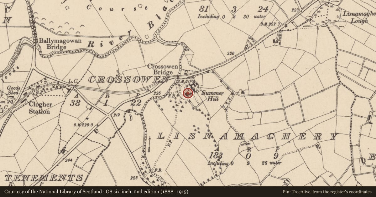 Ordnance Survey six-inch map, 2nd edition (1888–1915) covering the location of SUMMERHILL, Mid Ulster, with a pin at the register's coordinates