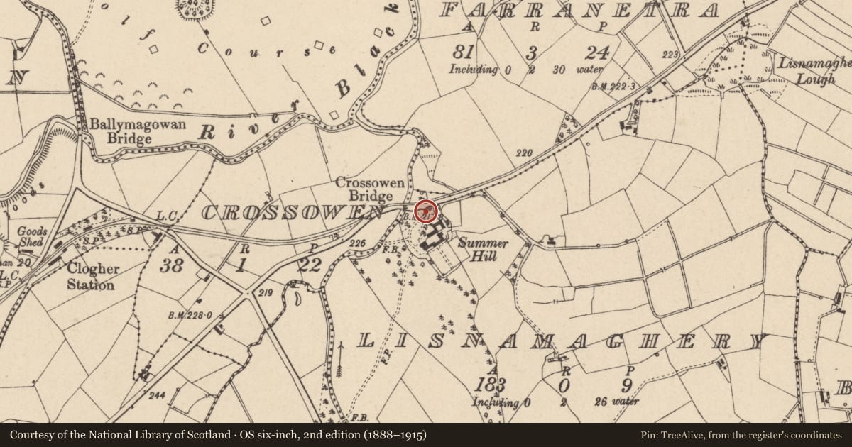 Ordnance Survey six-inch map, 2nd edition (1888–1915) covering the location of Gates/Screens/Lodges, Mid Ulster, with a pin at the register's coordinates