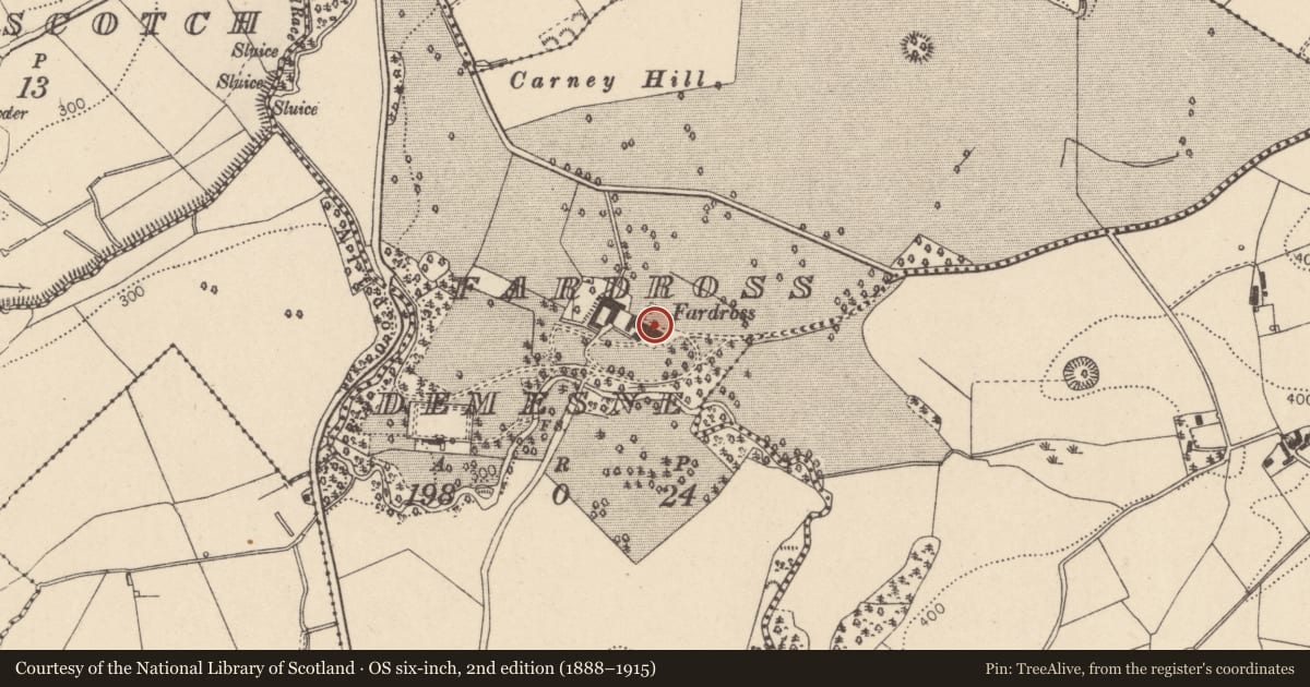 Ordnance Survey six-inch map, 2nd edition (1888–1915) covering the location of Fardross House, Mid Ulster, with a pin at the register's coordinates