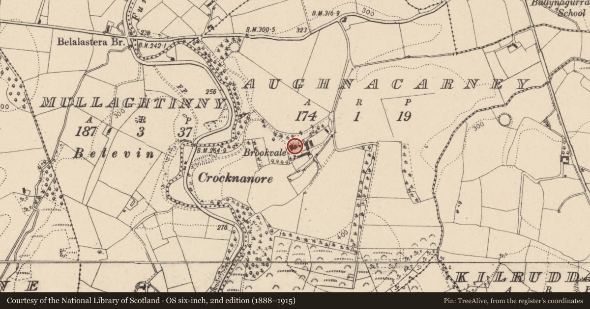 Ordnance Survey six-inch map, 2nd edition (1888–1915) covering the location of BROOKVALE, Mid Ulster, with a pin at the register's coordinates